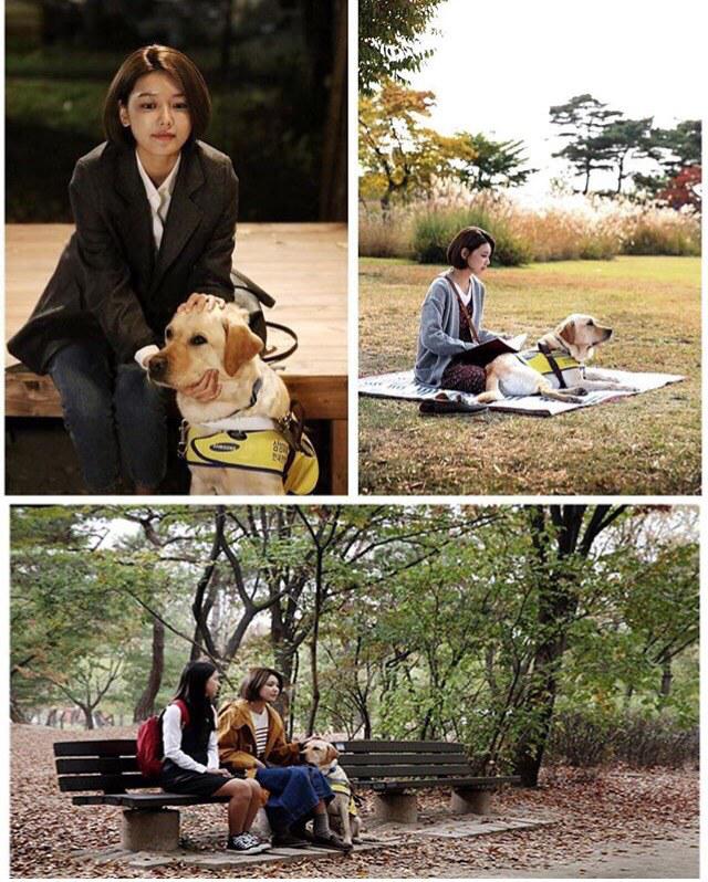 完美感觉 퍼펙트 센스
